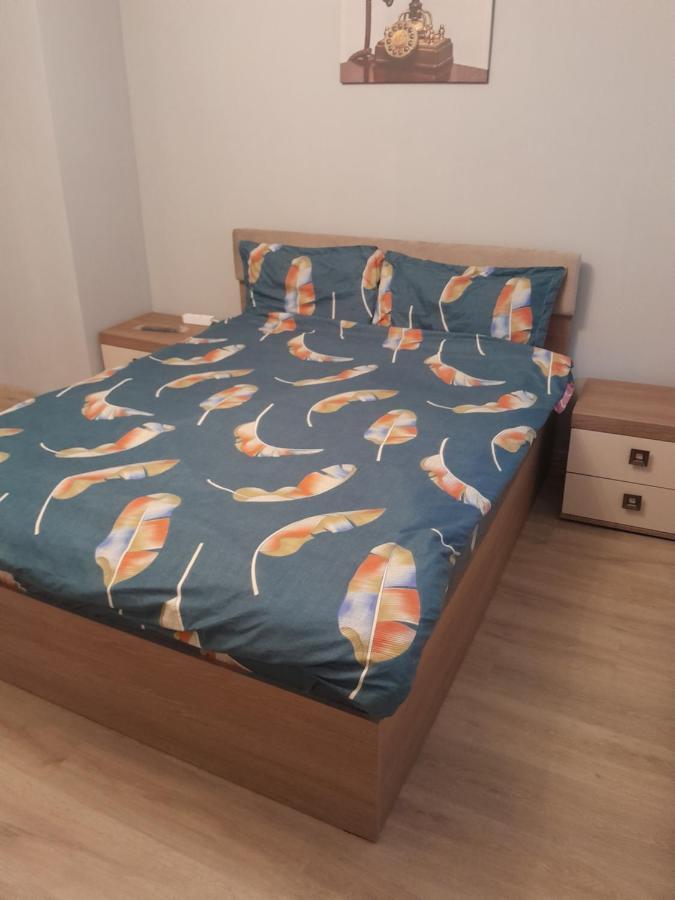 Casa Emilia Διαμέρισμα Orşova Εξωτερικό φωτογραφία